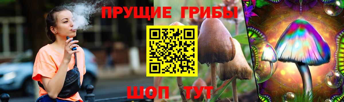 Галлюциногенные грибы MAGIC MUSHROOMS  Вход с VPN  Егорьевск 